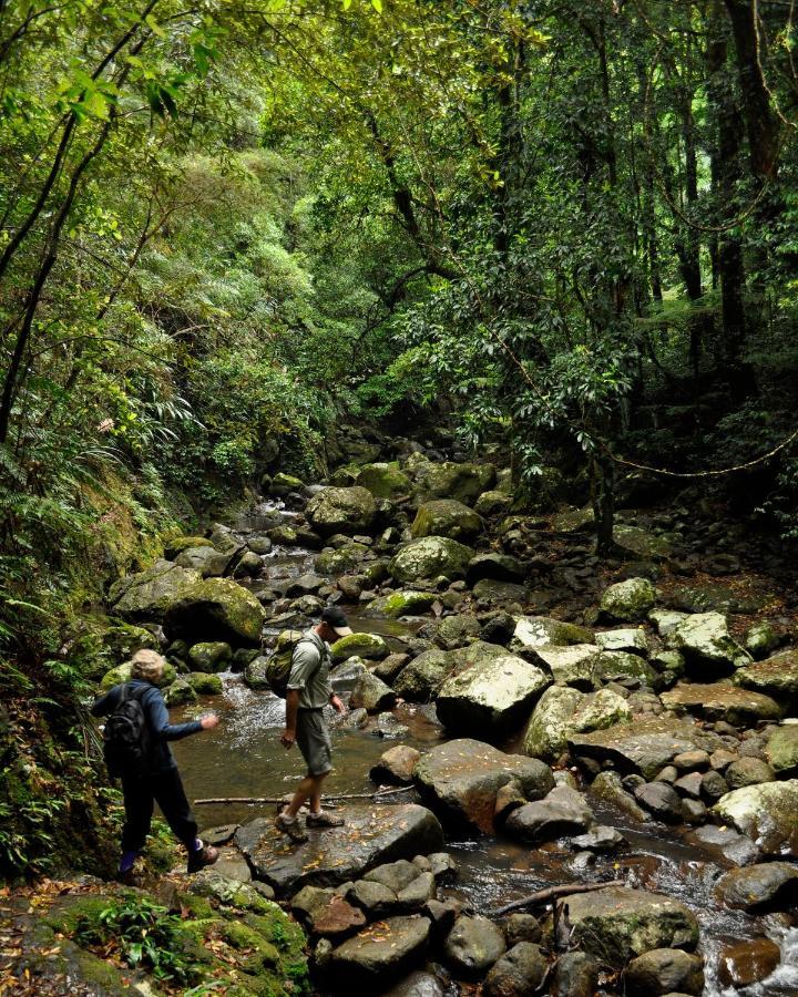 Binna Burra Sky Lodges Beechmont Exterior photo